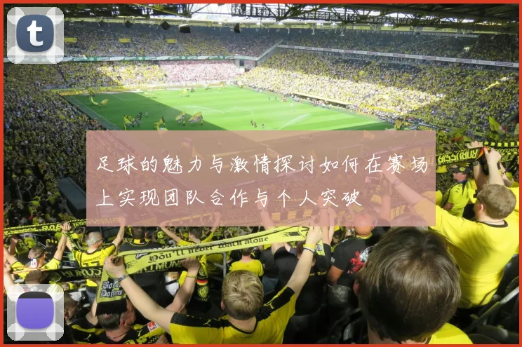 足球的魅力与激情探讨如何在赛场上实现团队合作与个人突破