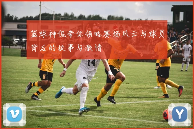 篮球神侃带你领略赛场风云与球员背后的故事与激情