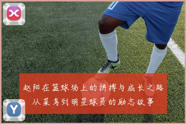 赵阳在篮球场上的拼搏与成长之路：从菜鸟到明星球员的励志故事