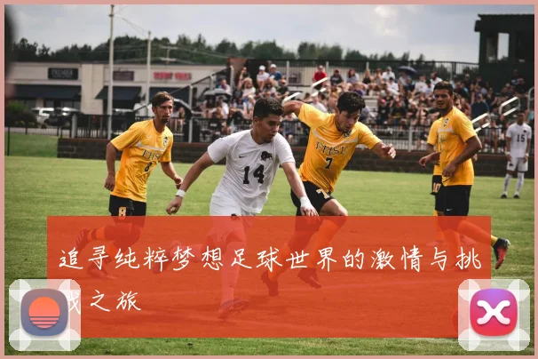 追寻纯粹梦想足球世界的激情与挑战之旅