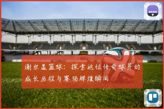 谢尔盖篮球：探索这位传奇球员的成长历程与赛场辉煌瞬间